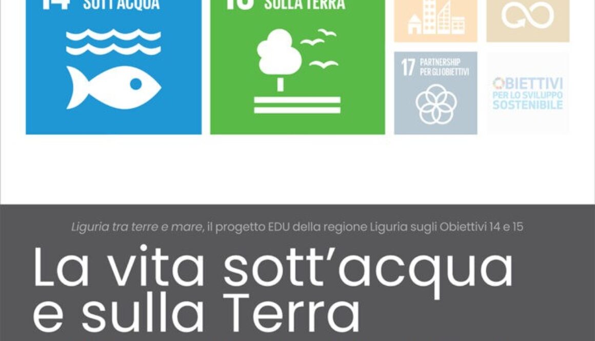50x70 PANNELLI MOSTRA_04