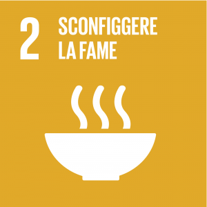 SDG icon IT 02