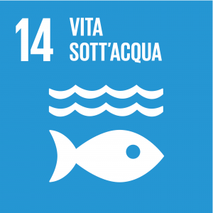 SDG icon IT 14