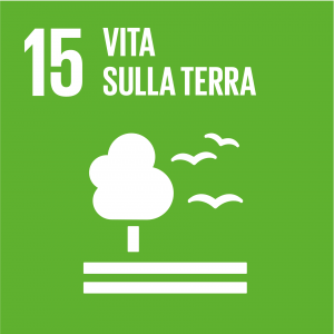 SDG icon IT 15