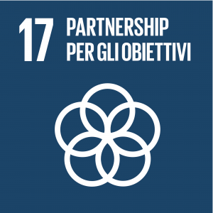 SDG icon IT 17