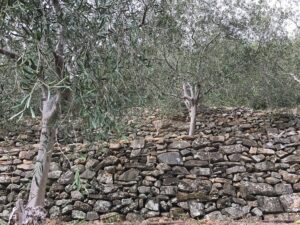 murettiasecco2