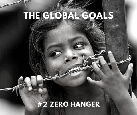 ZERO HANGER